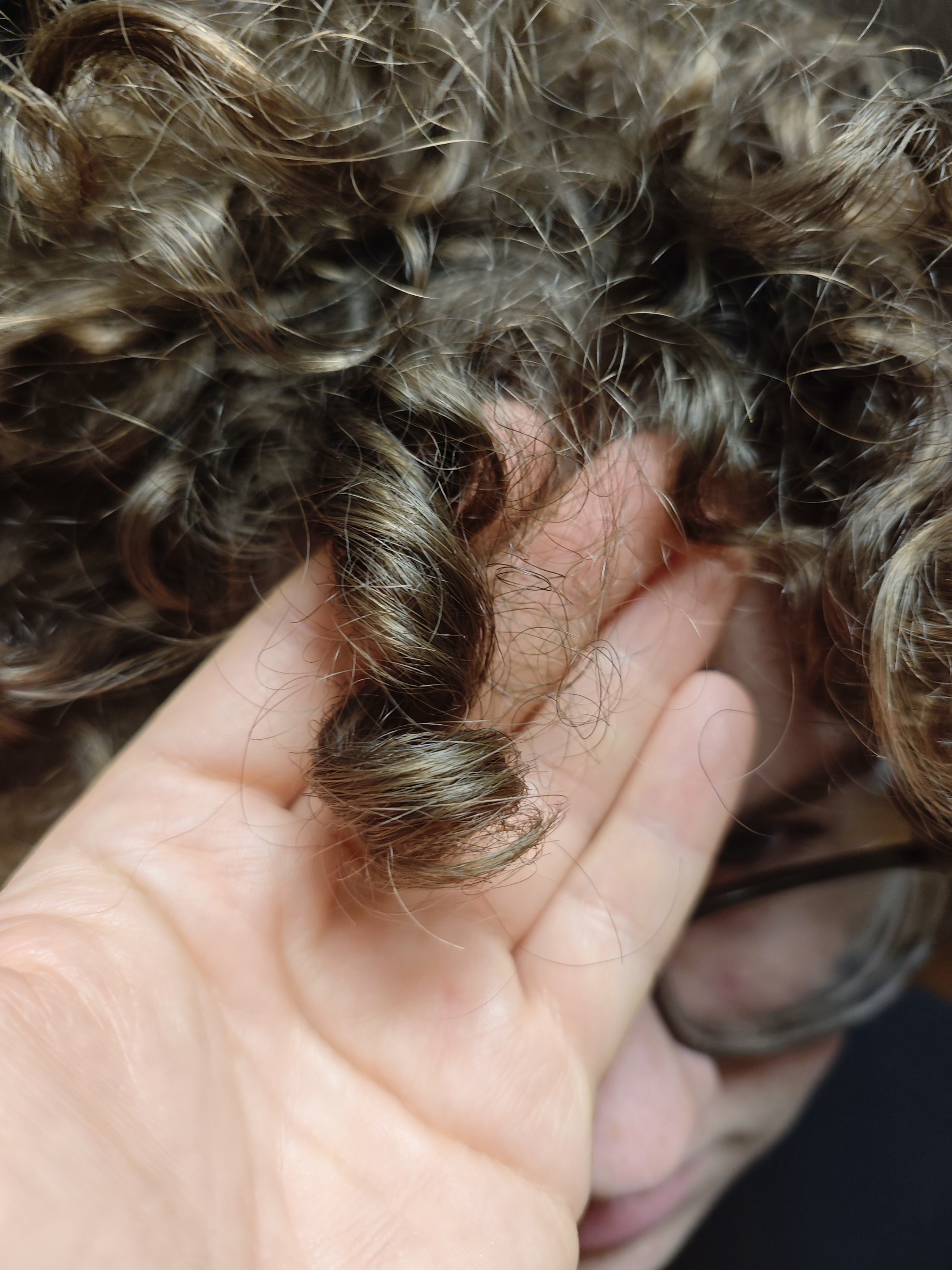 SYOSS Curls Termékcsalád